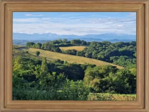 Paysage de campagne vallonnée sur fond de Pyrénées