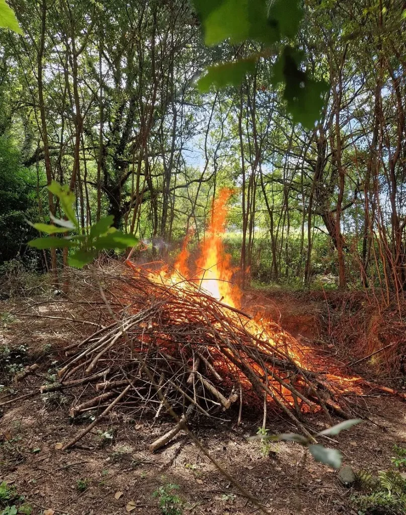 feu_de_branches-ramuncho-nature.fr