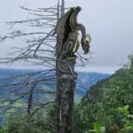 dragon_des_pyrenees-ramuncho-nature.fr